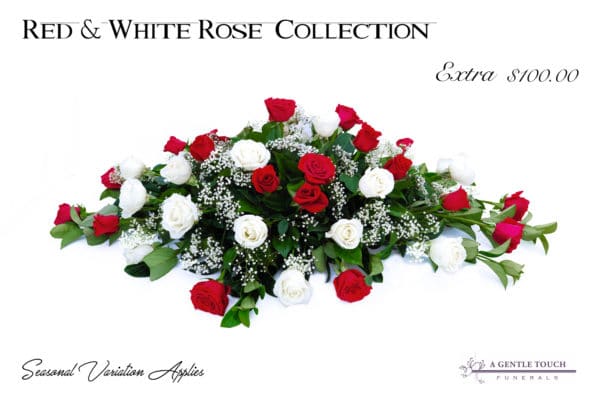 Red and White Rose Collection