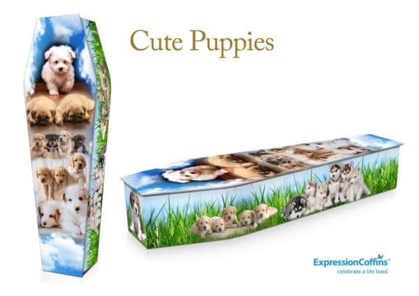 Expression Coffins Cute Puppies