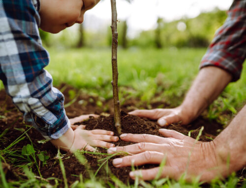 Memorial Ideas to Celebrate a Life Well Lived