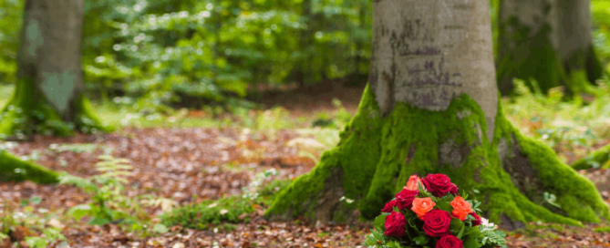 A bouquet of red and orange roses placed at the base of a moss-covered tree in a peaceful forest setting.